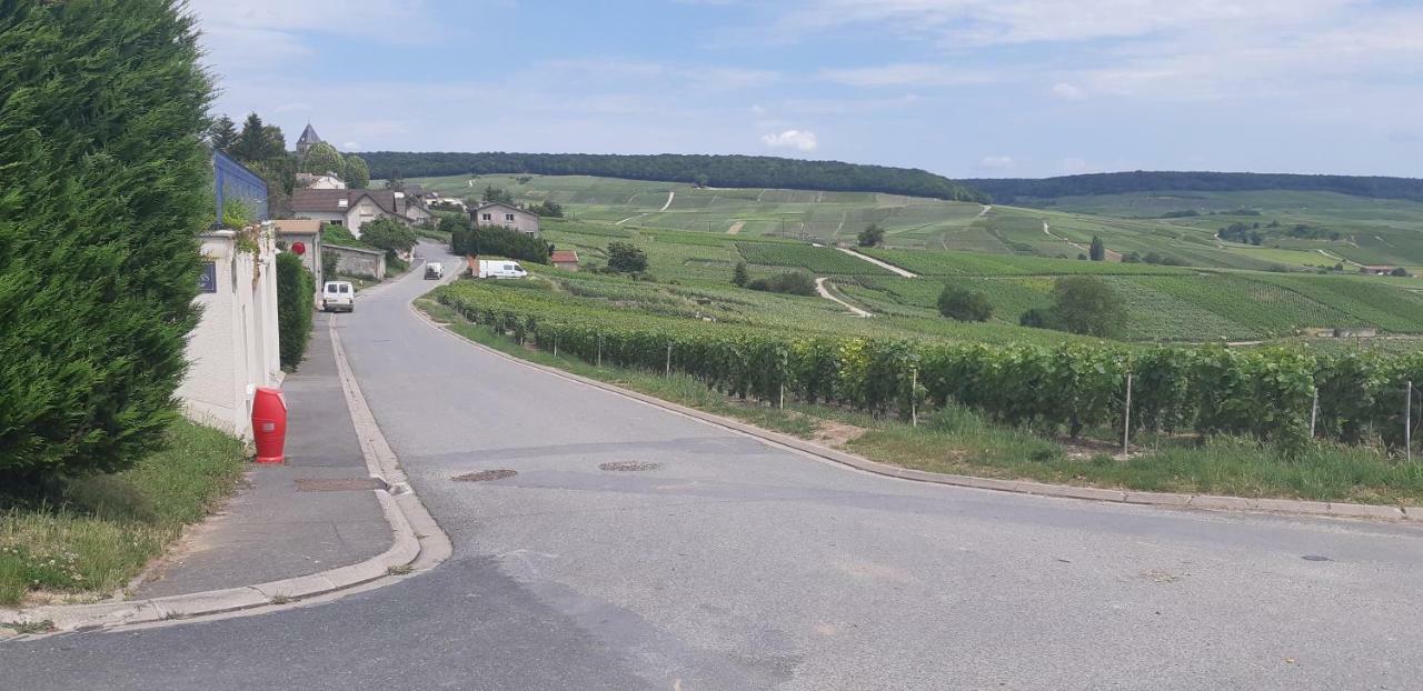 Flor'Ever En Champagne Fleury-la-Riviere Dış mekan fotoğraf
