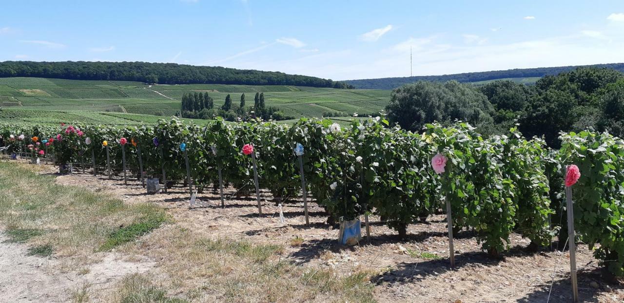 Flor'Ever En Champagne Fleury-la-Riviere Dış mekan fotoğraf