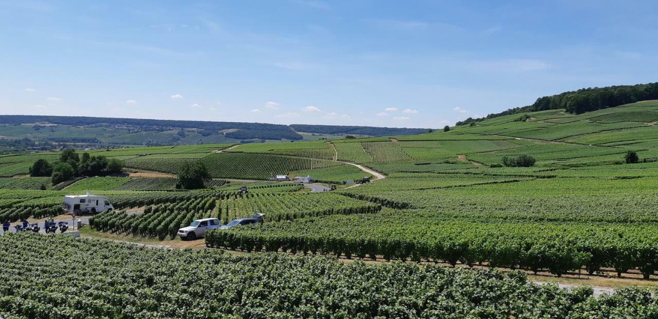 Flor'Ever En Champagne Fleury-la-Riviere Dış mekan fotoğraf